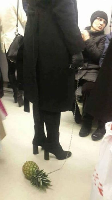 Странности и приколы в фотографиях (26 фото) Странности и приколы в фотографиях (26 фото)