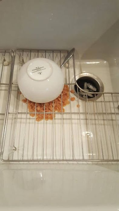 Почти получилось (24 фото) Почти получилось (24 фото)