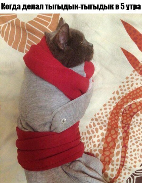 Прикольные фотомемы (30 шт) Прикольные фотомемы (30 шт)