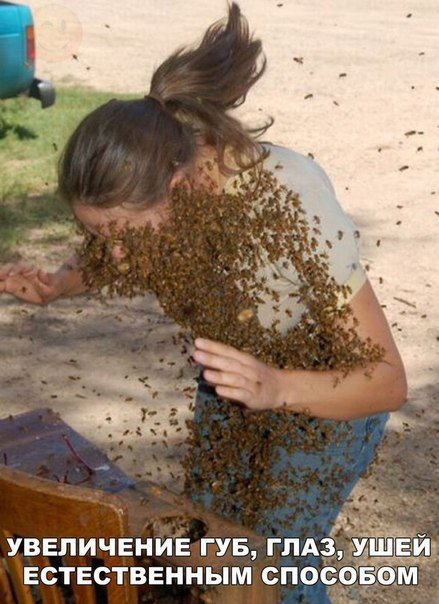 Прикольные фотомемы (21 шт) Прикольные фотомемы (21 шт)