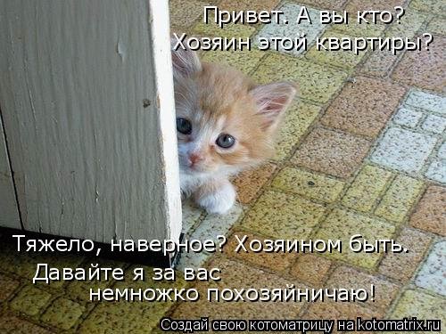 Новая котоматрица (39 фото) Новая котоматрица (39 фото)