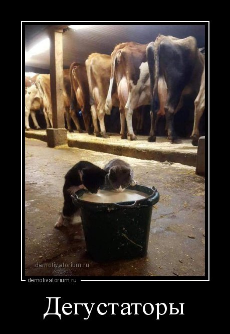 Свежие демотиваторы на любой вкус (17 шт) Свежие демотиваторы на любой вкус (17 шт)