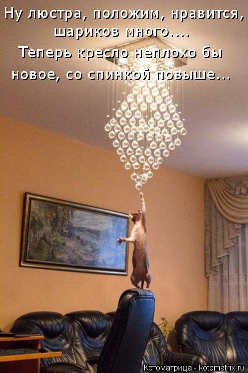 Новая котоматрица на Бугаге (25 фото) Новая котоматрица на Бугаге (25 фото)