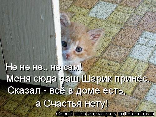 Новая котоматрица на Бугаге (25 фото) Новая котоматрица на Бугаге (25 фото)