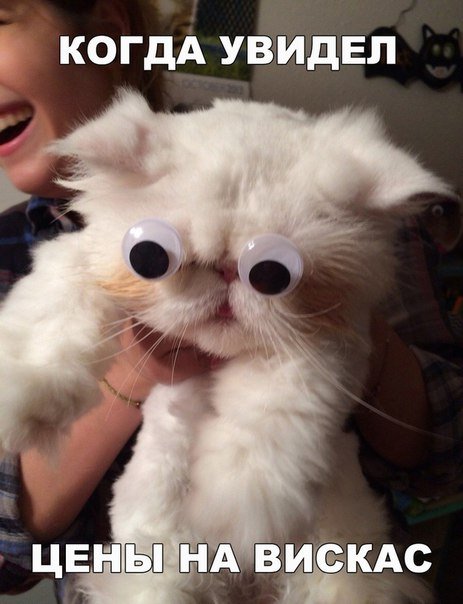 Прикольные фотомемы (28 шт) Прикольные фотомемы (28 шт)