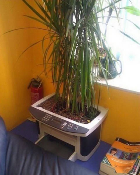 Все проблемы решаемы! (34 фото) Все проблемы решаемы! (34 фото)