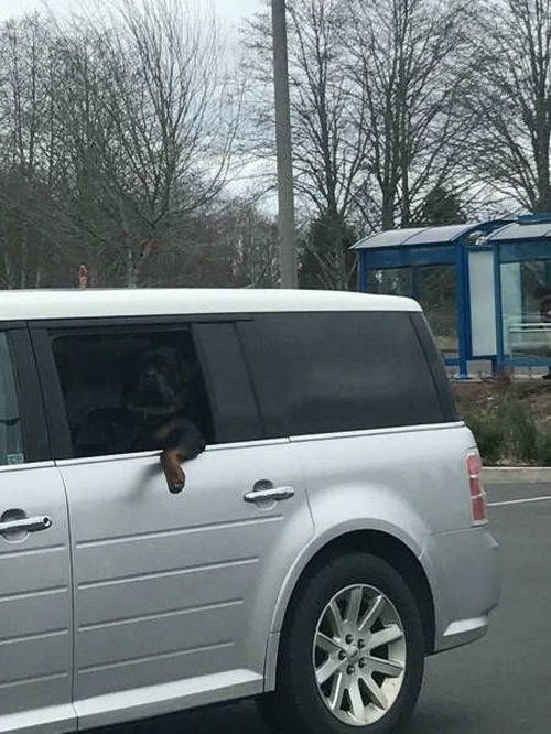 Новые АВТОприколы (20 фото) Новые АВТОприколы (20 фото)