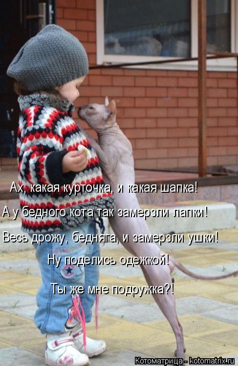 Новая котоматрица для всех! (34 фото) Новая котоматрица для всех! (34 фото)