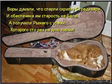 Новая котоматрица для всех! (34 фото) Новая котоматрица для всех! (34 фото)