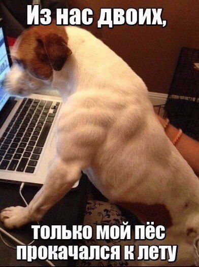 Прикольные картинки для настроения (37 шт) Прикольные картинки для настроения (37 шт)