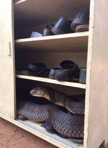 Неудачный день в картинках (23 фото) Неудачный день в картинках (23 фото)