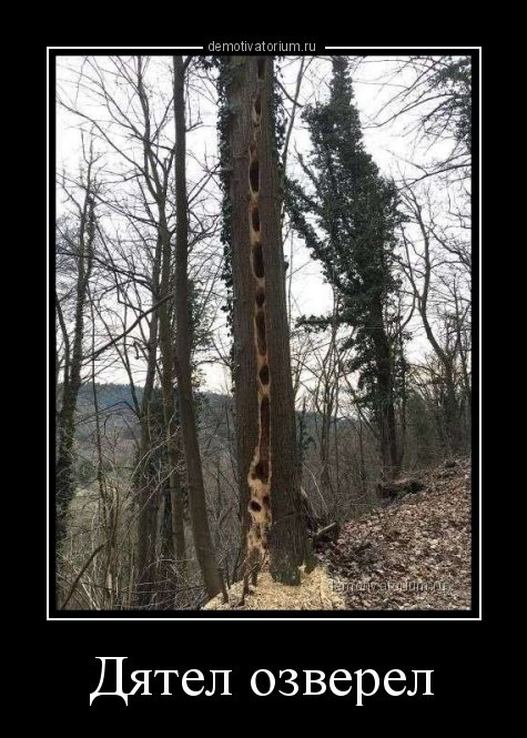 Свежая порция демотиваторов (15 шт) Свежая порция демотиваторов (15 шт)