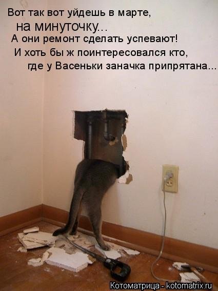 Свежая котоматрица на Бугаге (33 фото) Свежая котоматрица на Бугаге (33 фото)