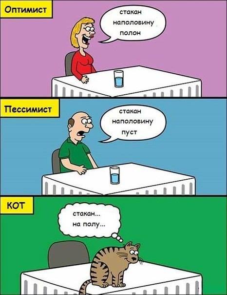 Прикольные картинки дня (52 шт) Прикольные картинки дня (52 шт)