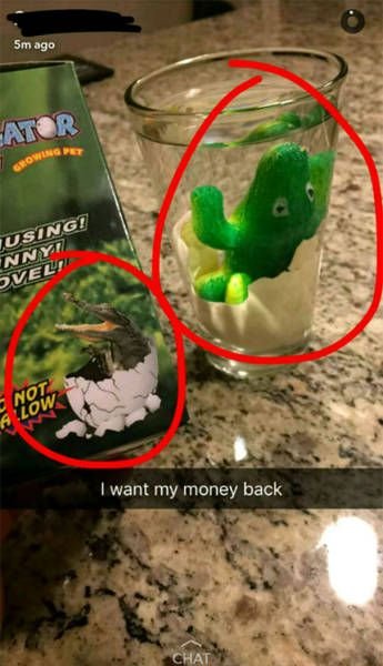 Ожидание vs. реальность: онлайн-шоппинг (17 фото) Ожидание vs. реальность: онлайн-шоппинг (17 фото)