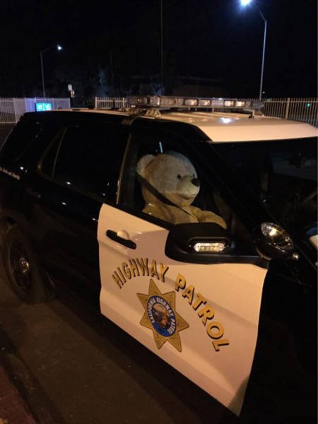 Будни полицейских (29 фото) Будни полицейских (29 фото)