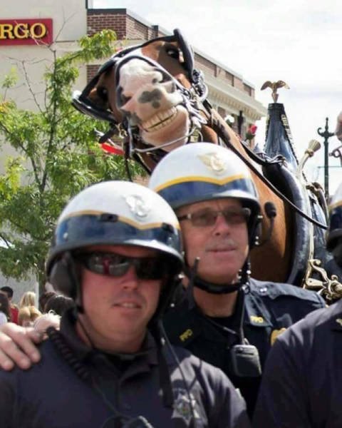 Будни полицейских (29 фото) Будни полицейских (29 фото)