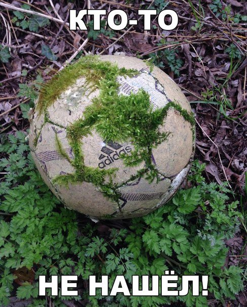Новые прикольные фотомемы (17 шт) Новые прикольные фотомемы (17 шт)