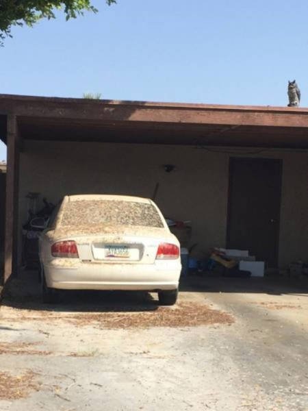 Сплошные казусы да упсы (24 фото) Сплошные казусы да упсы (24 фото)