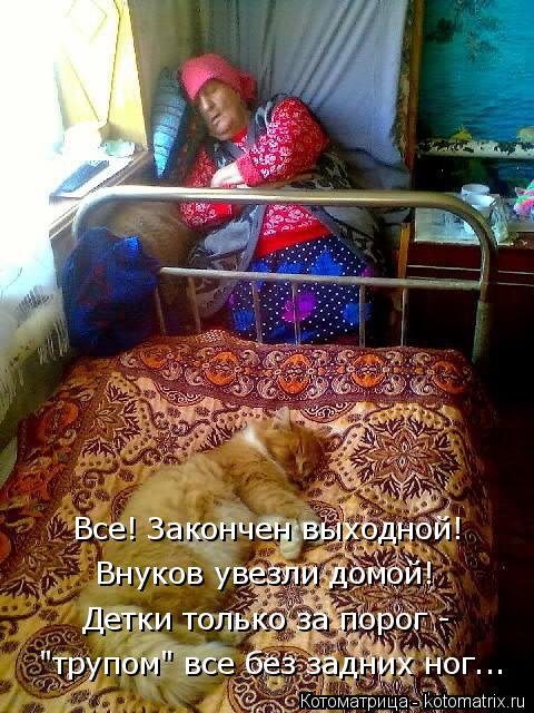 Новая котоматрица (26 фото) Новая котоматрица (26 фото)