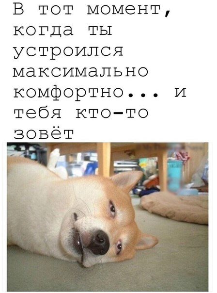 Прикольные фотомемы (25 шт) Прикольные фотомемы (25 шт)