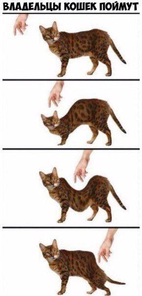 Прикольные фотомемы (25 шт) Прикольные фотомемы (25 шт)