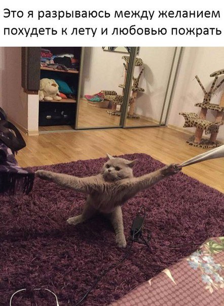 Прикольные фотомемы (25 шт) Прикольные фотомемы (25 шт)