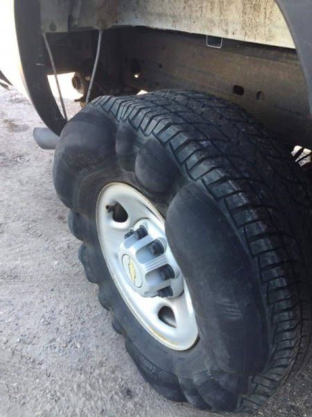 Прикольные картинки дня (43 шт) Прикольные картинки дня (43 шт)