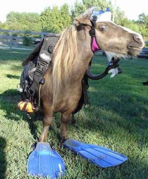 Странности в фотографиях (26 фото) Странности в фотографиях (26 фото)