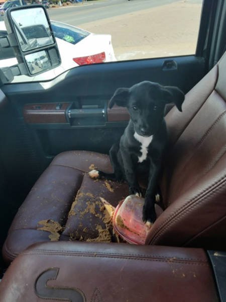 Неудачный день в картинках (27 фото) Неудачный день в картинках (27 фото)