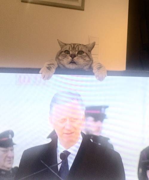 Подборка прикольных картинок и фото (40 шт) Подборка прикольных картинок и фото (40 шт)