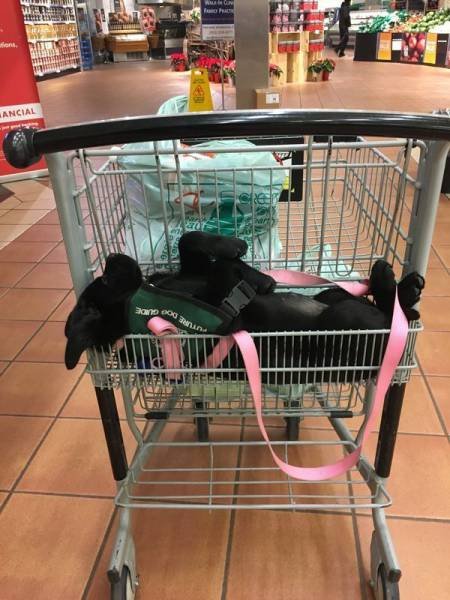 Рабочие приколы и казусы (22 фото) Рабочие приколы и казусы (22 фото)