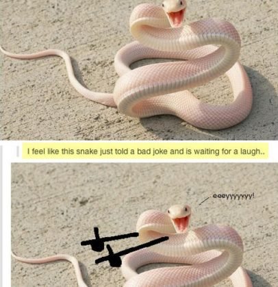 Новый смешной фотомем: змеи с руками (13 фото) Новый смешной фотомем: змеи с руками (13 фото)