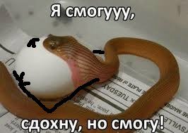 Новый смешной фотомем: змеи с руками (13 фото) Новый смешной фотомем: змеи с руками (13 фото)