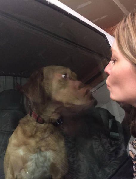 Оказалось, показалось… (27 фото) Оказалось, показалось… (27 фото)