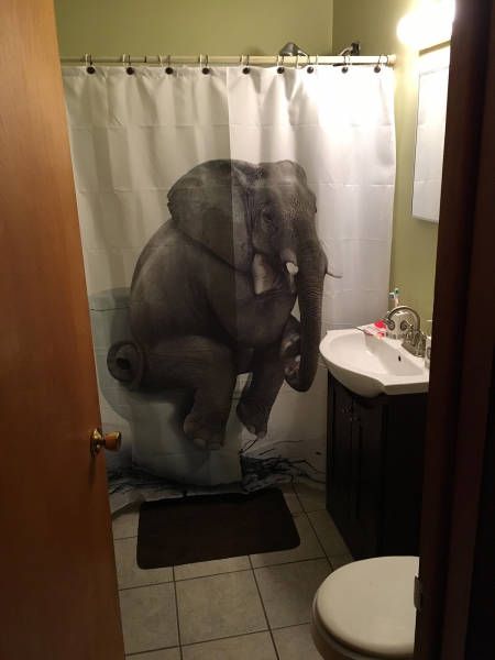 Прикольные картинки дня (37 шт) Прикольные картинки дня (37 шт)