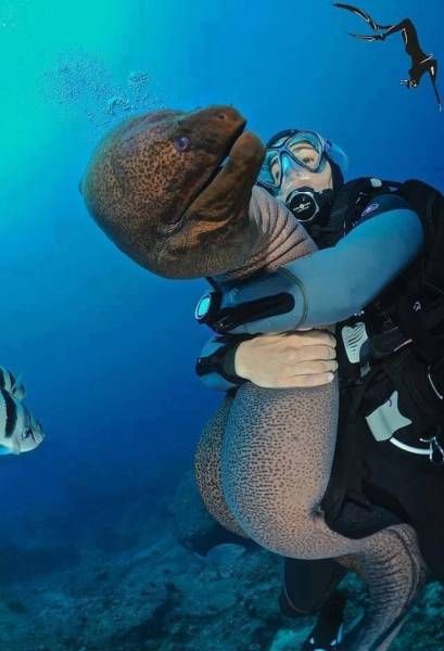 Прикольные картинки дня (37 шт) Прикольные картинки дня (37 шт)