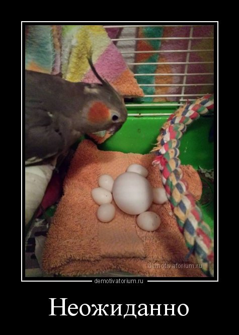 Прикольные демотиваторы на Бугаге (13 шт) Прикольные демотиваторы на Бугаге (13 шт)