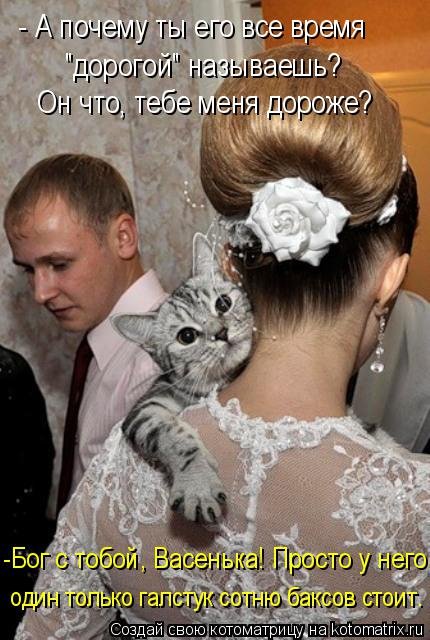 Котоматрица на Бугаге (28 фото) Котоматрица на Бугаге (28 фото)