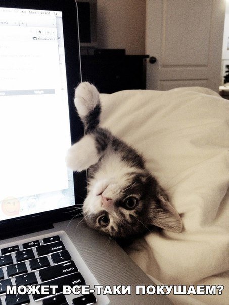 Новые прикольные фотомемы на Бугаге (26 шт) Новые прикольные фотомемы на Бугаге (26 шт)