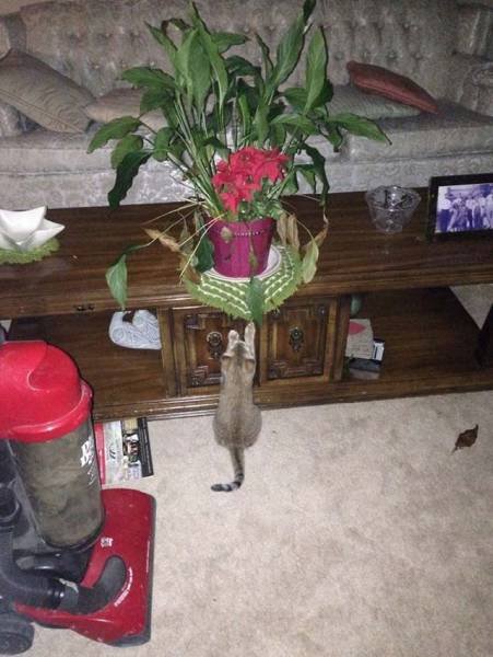 За секунду до… (33 фото) За секунду до… (33 фото)