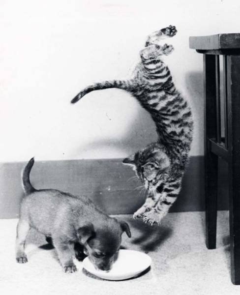 За секунду до… (33 фото) За секунду до… (33 фото)