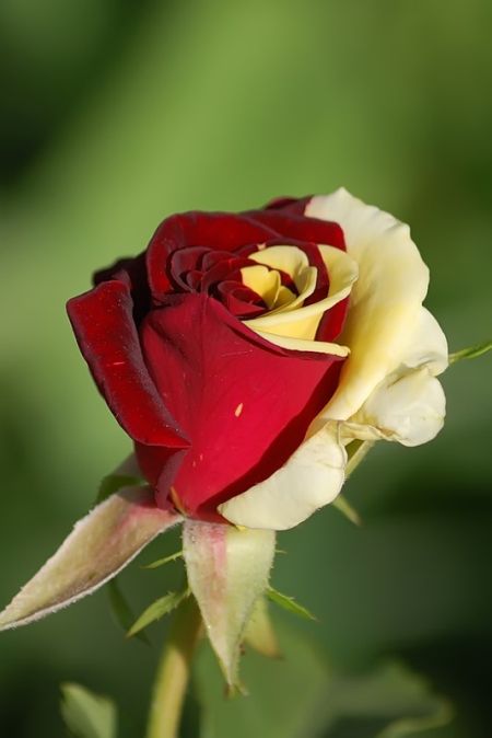 Прикольные фотки и картинки (53 шт) Прикольные фотки и картинки (53 шт)