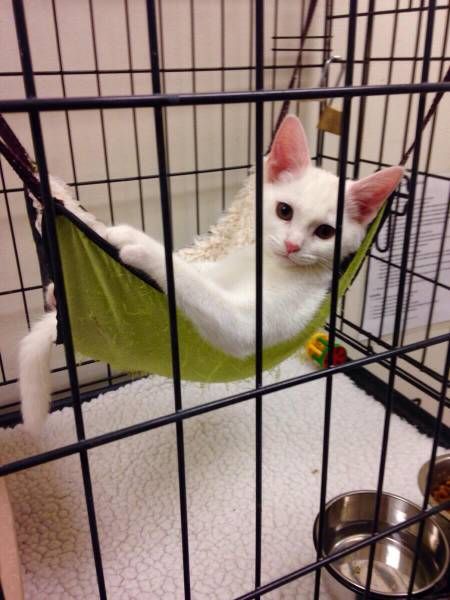 Прикольные фотки и картинки (53 шт) Прикольные фотки и картинки (53 шт)