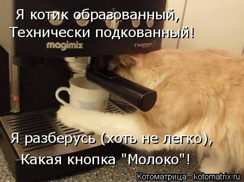 Свежая котоматрица для всех (20 шт) Свежая котоматрица для всех (20 шт)