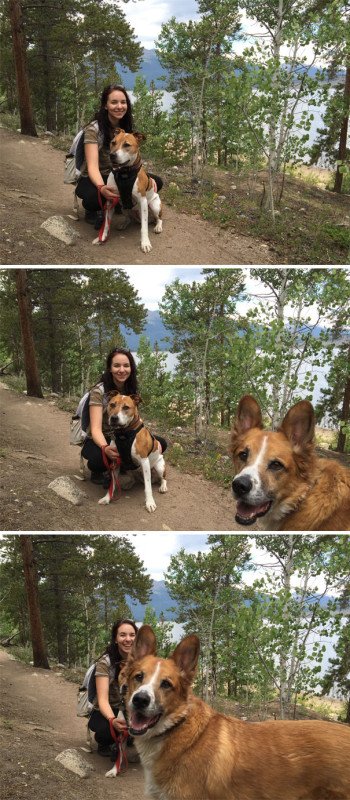 Весёлые фотобомбы с собаками (21 фото) Весёлые фотобомбы с собаками (21 фото)