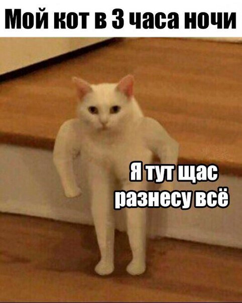 Прикольные комментарии для настроения (25 шт) Прикольные комментарии для настроения (25 шт)