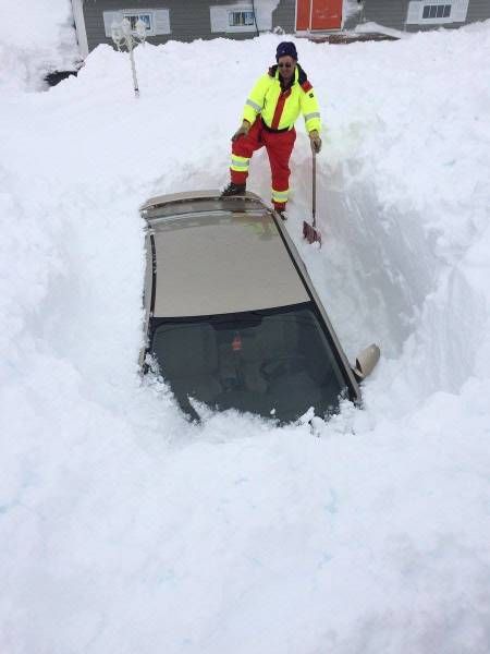 Свежие прикольные фотки и картинки (33 шт) Свежие прикольные фотки и картинки (33 шт)