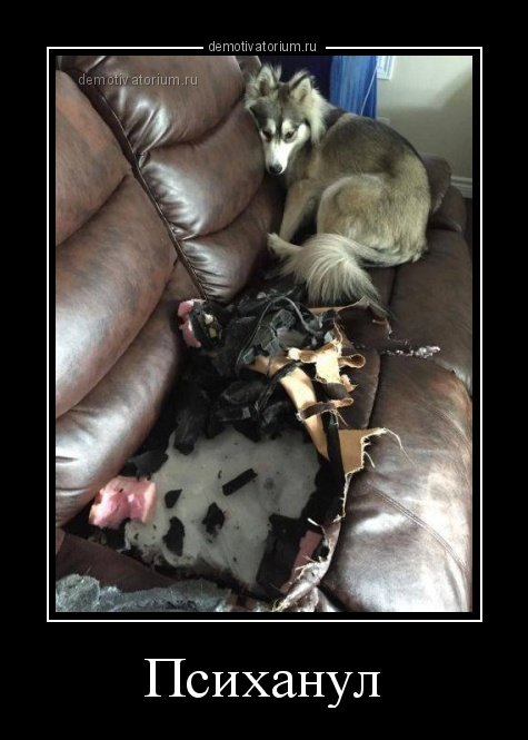 Сборник демотиваторов на Бугаге (22 шт) Сборник демотиваторов на Бугаге (22 шт)