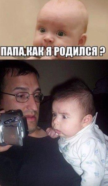 Прикольные фотомемы (28 шт) Прикольные фотомемы (28 шт)